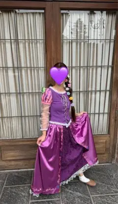 け*こ様 ラプンツェル　コスプレ　パスカル　ユージーン　セット売り 2025年最新】パスカルコスプレの人気アイテム - メルカリ