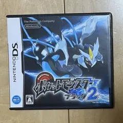 ブラック2 ポケットモンスター ニンテンドーDS ポケモン ソフト DS