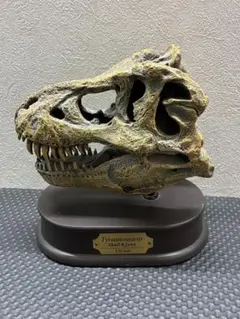 DINOWORLD】ティラノサウルス 頭骨 化石 ジュラシックパーク - メルカリ