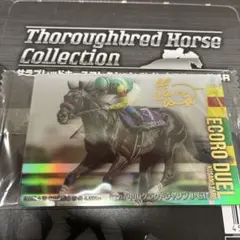 Thoroughbred Horse Collection エコロデュエル