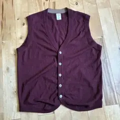 ブリッラペルイルグスト ベスト　カシミヤ混　ビームス　 Lサイズ