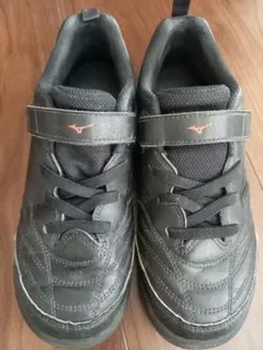 Item thumbnail for item 290e4c17-cbde-4056-94ab-db051ad748c6