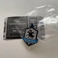 ツイステ 寮章ピンバッジ イグニハイド寮
