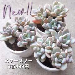 Betty❣️◆◆プロフ必読◆◆様 リクエスト 2点 まとめ商品