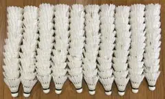 Item thumbnail for item 3327d0b3-7378-4bd9-ad79-b29d64e4824e