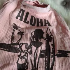 Item thumbnail for item 95f42892-9c1d-464a-8219-8fe6075b4231