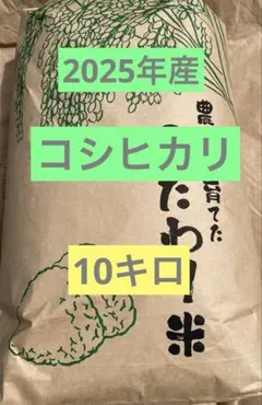広島産 コシヒカリ 15kg R7年産 - メルカリ