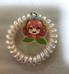 カラフルピーチ のあ コイルヘアゴム