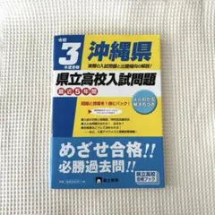 Item thumbnail for item 3a451a89-b7b7-4404-85bb-e998055da303