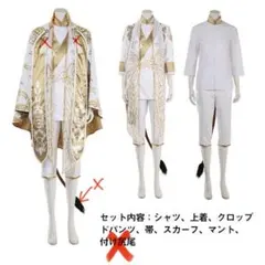 ツイステ フェアリーガラ エーストラッポラ衣装 - メルカリ
