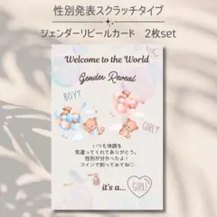 《7月末までSALE中》性別発表♡ジェンダーリビールカード写真入れ可能2枚setのサムネイル