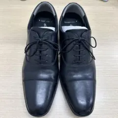 Item thumbnail for item 635b410d-d22c-496e-b312-c5c6acb06d0b