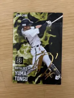 頓宮裕真 プロ野球カード金箔サイン入り 9枚おまけ付き