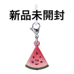 新品未開封 匿名配送 涼を感じるめじるしアクセサリー すいか