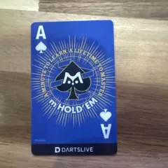 2026年最新】エムホールデム ダーツの人気アイテム - メルカリ