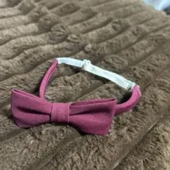 Item thumbnail for item 01800b92-a1ce-422a-a44f-6b14a6946f34