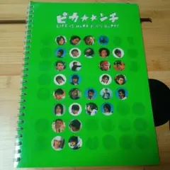 ピカ☆ンチ　嵐　パンフレット