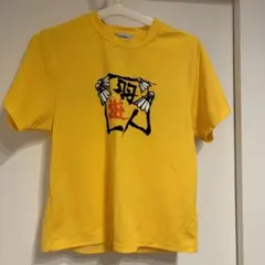 Item thumbnail for item 73e0b06e-cc22-4f54-8a46-907cb80ca9a9