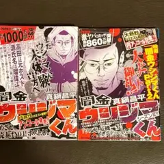 Item thumbnail for item 57bd608d-f06f-45b6-a7da-8bee6a0386e2