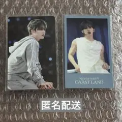 エスクプス SEVENTEEN CARAT LAND 2024 VOD 購入特典