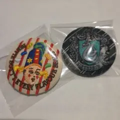 ハリーポッター 刺繍缶バッジ　百味ビーンズ　スリザリン (匿名配送)