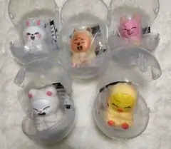 SKZOO ライトマスコット リービット ジニレット ポガリ他 　5個セット