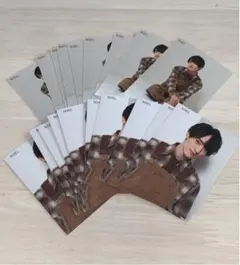 川島如恵留　myojo 厚紙