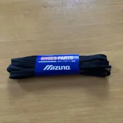 Item thumbnail for item ffb4a1bb-7c2d-415b-833c-516de6b8cc6e