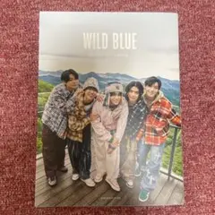 2026年最新】Wild blue グッズの人気アイテム - メルカリ