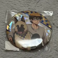 本日発送】ダイヤのA 沢村栄純 ビッグホログラム缶バッジ GiGO限定