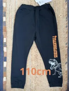 恐竜 長ズボン パンツ ブラック 黒 110cm
