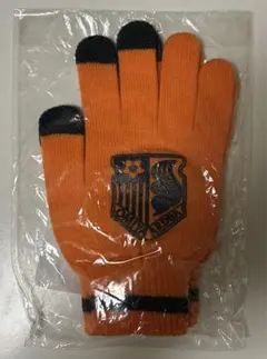 大宮アルディージャ　オリジナルスマートフォン対応手袋