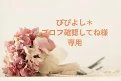 ぴぴよし＊プロフ確認してね様専用