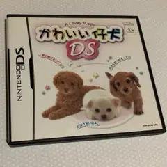 かわいい仔犬