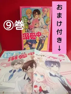 おまけ ポスター付 】 総長さま、溺愛中につき。⑨ 冬夜をとりもどせ! あいら