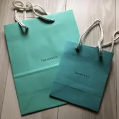 Tiffany & Co. ショップ袋 2点セット