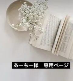 あーちー様専用　ハンドメイドピアス　イヤリング