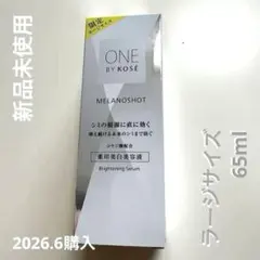 最安】ワンバイコーセーメラノ 全て詰め替えラージ2レギュラー1 - メルカリ