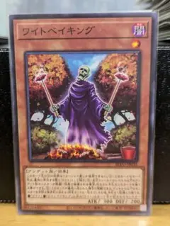 本格構築 芝刈りワイトデッキ ワイトプリンス ワイトベイキング ワイトメア 2025年最新】遊戯王 ワイトベイキングの人気アイテム - メルカリ