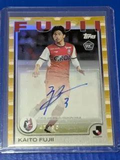 2025年最新】ファジアーノ カードの人気アイテム - メルカリ