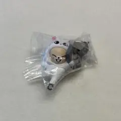 SKZOO つまんでつなげてますこっと フォクシニー