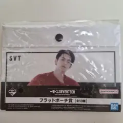 SEVENTEEN　フラットポーチ　ミンギュ