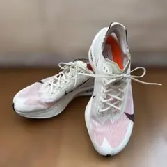 ヴェイパーフライ4 w25.0cm