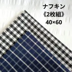 Item thumbnail for item 7fbaedb3-aa34-4fa2-8cbd-a39d84cdd080