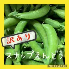 ‼️元旦発送‼️ 指宿産 訳あり スナップエンドウ