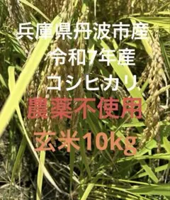 キーヨ様専用 リピートご購入様限定価格 無洗米10k - メルカリ