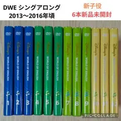 121‐⑧DWE ディズニー英語システム シングアロングDVD