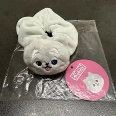 FUNNY TREASURE シュシュ ジフン