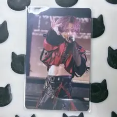 浦島坂田船　うらたぬき　ランダムミニフォトカード