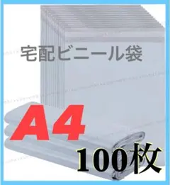 宅配ビニール袋 A4サイズ 100枚セット① - メルカリ
